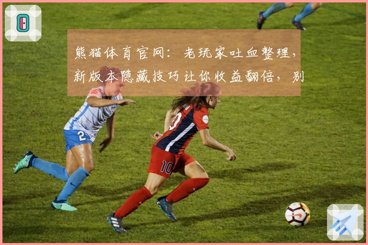 熊猫体育官网：老玩家吐血整理，新版本隐藏技巧让你收益翻倍，别再白费力气了！
