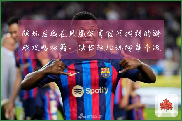 踩坑后我在凤凰体育官网找到的游戏攻略秘籍，助你轻松玩转每个版本更新