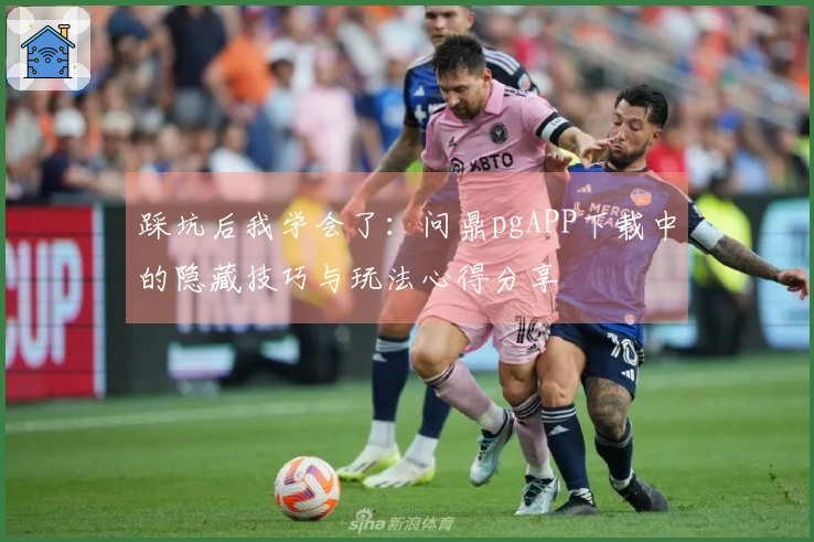 踩坑后我学会了：问鼎pgAPP下载中的隐藏技巧与玩法心得分享