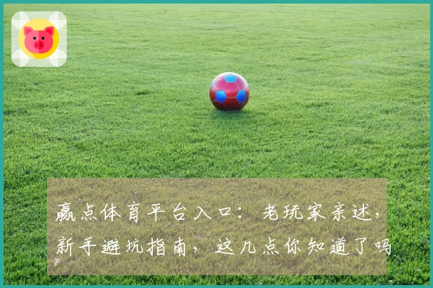赢点体育平台入口:老玩家亲述,新手避坑指南,这几点你知道了吗?