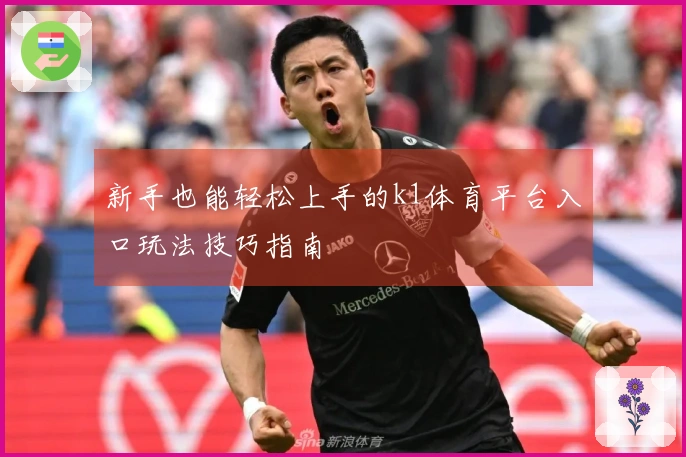 新手也能轻松上手的k1体育平台入口玩法技巧指南